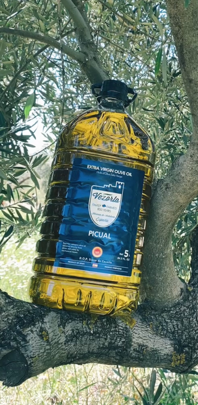 Picual Spanish Olive Oil