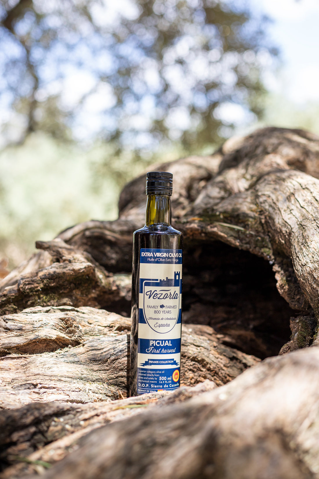 Picual Spanish Olive Oil