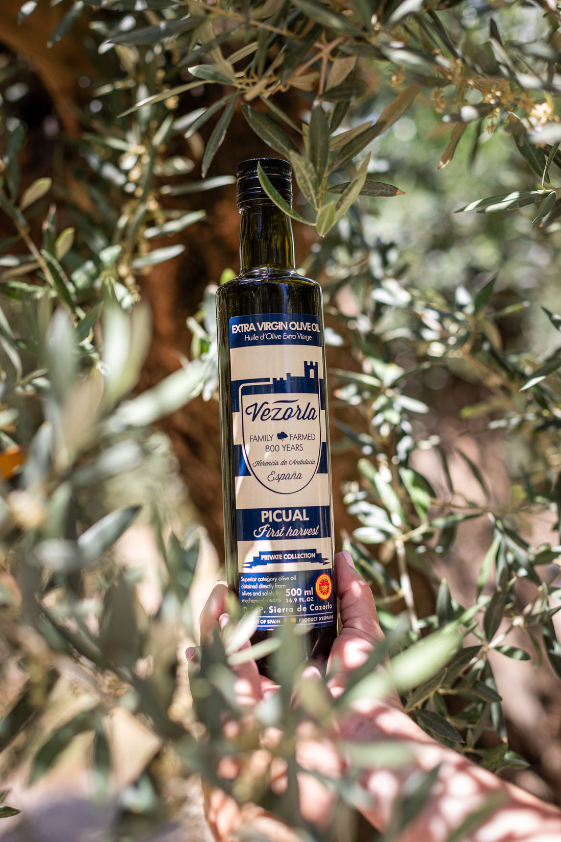 Picual Early Harvest Spanish Olive Oil 