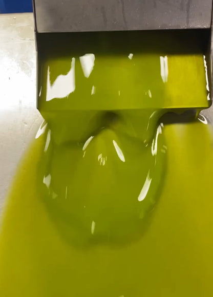 PICUAL EARLY HARVEST EVOO. Harvest Oct. 2025 500ML.