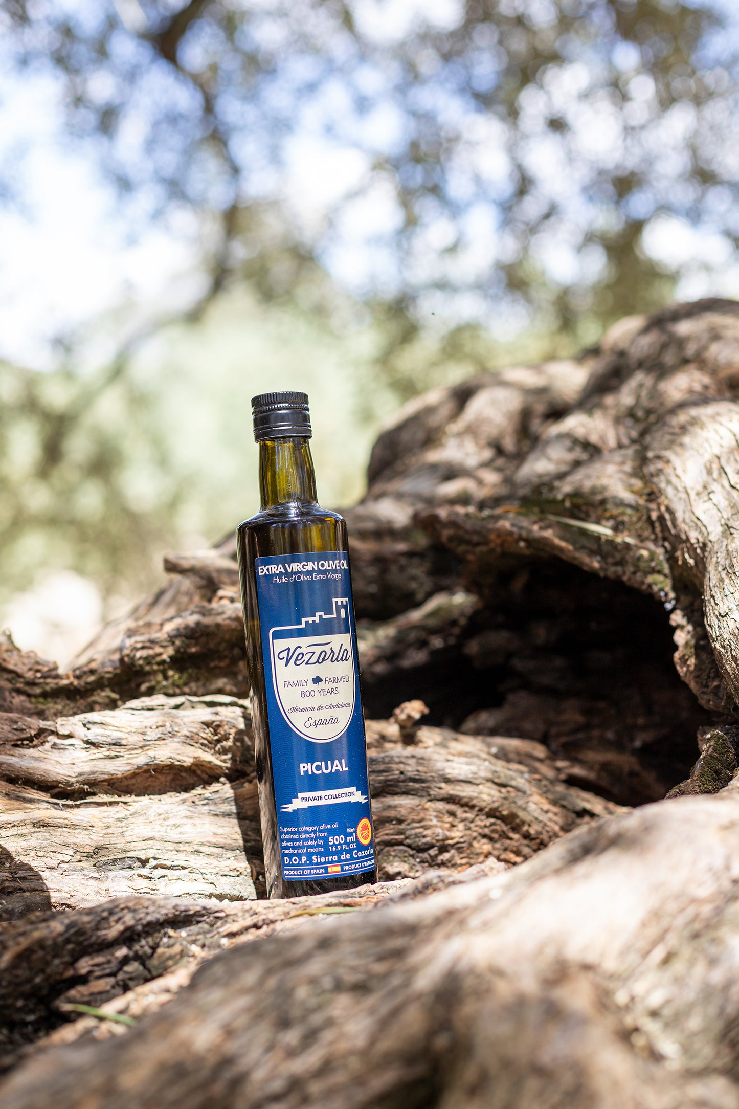 PICUAL TRADITIONAL EVOO. Harvest Dec. 2025 500ML.