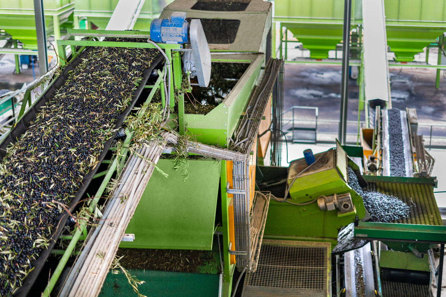 PICUAL TRADITIONAL EVOO. Harvest Dec. 2025 500ML.