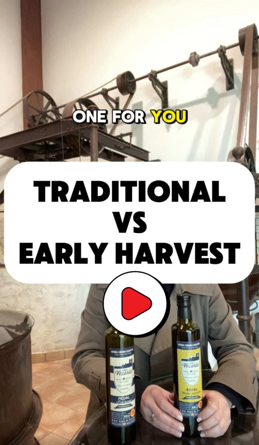 Picual Olive Oil Polyphenols | Picual Olive Oil Spain – Vezorla
